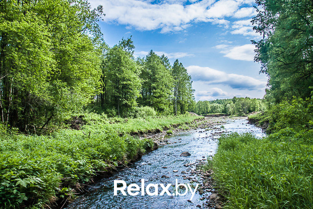 Тимбилдинг, фото № 40