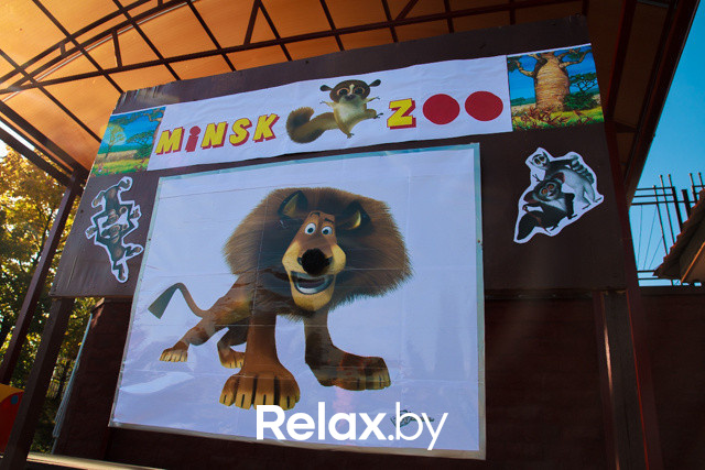 Акция ко Дню защиты животных, фото № 3