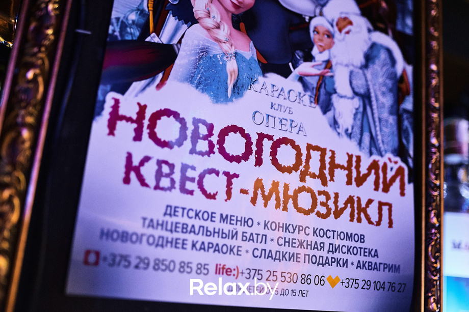 Черный лебедь, фото № 48