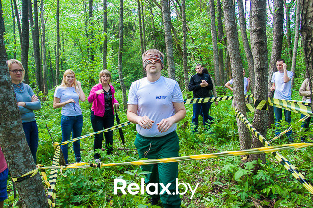 Тимбилдинг, фото № 64