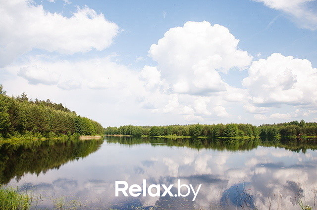 Расти в продажах ярко!, фото № 166