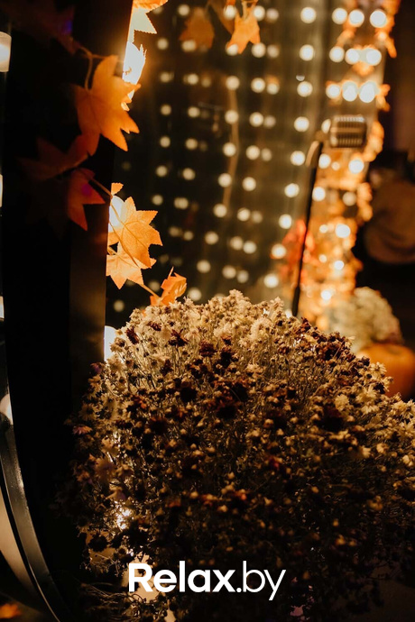 Terra Karaoke, фото № 37