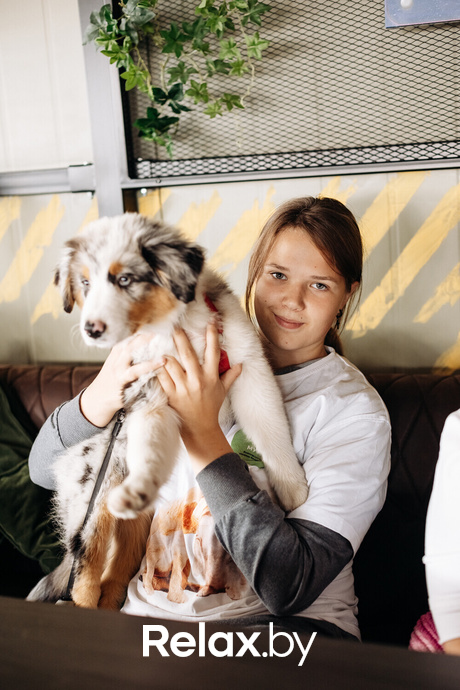 Акция Пушистого Добра, фото № 71