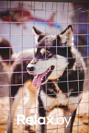 Экспедиция презентация Пикник-отеля, фото № 5