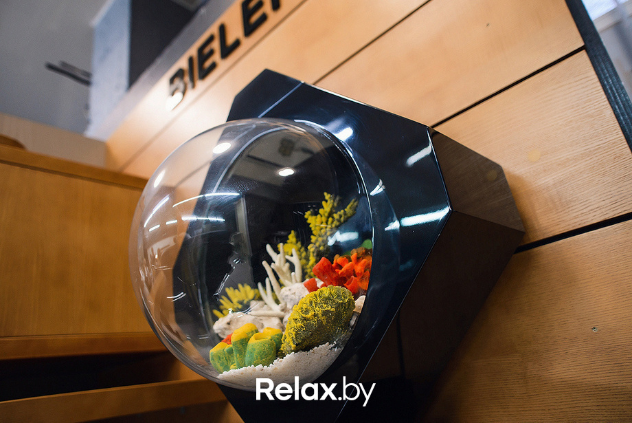 Открытие магазина немецкой техники  Zuchel Kuche, фото № 77