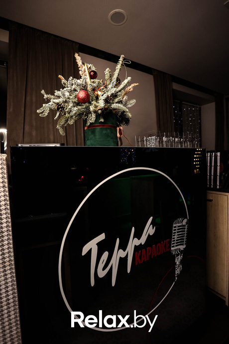 Terra Karaoke, фото № 7