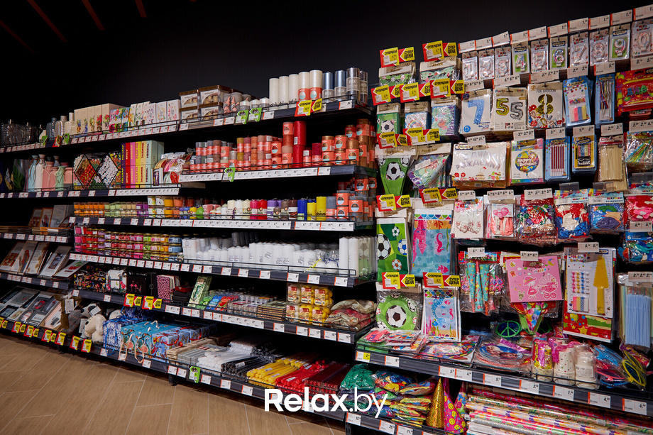 Открытие ГИППО, фото № 61