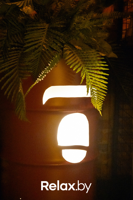 Monkey Brothers, фото № 53