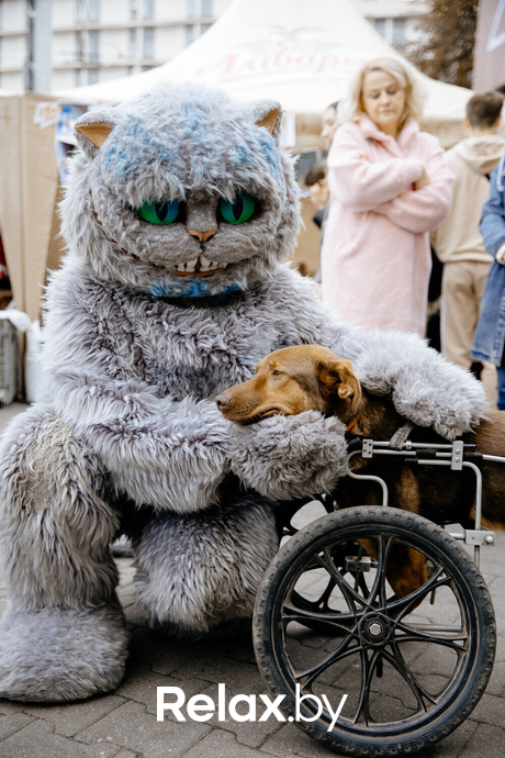 Благотворительная акция пушистого добра, фото № 90