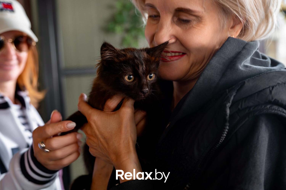 Акция пушистого добра, фото № 71