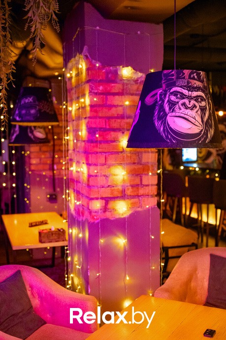 Monkey Brothers, фото № 97