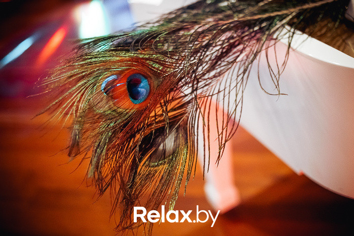 Шоу «Тропикана», фото № 13