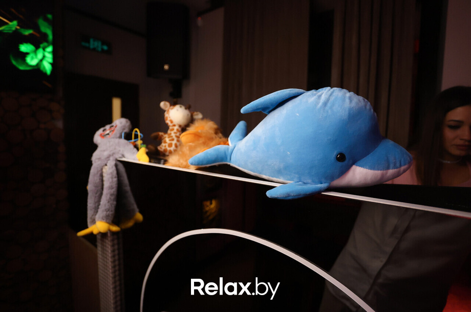 Terra Karaoke, фото № 28