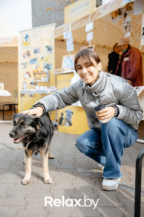 Благотворительная акция пушистого добра, фото № 64