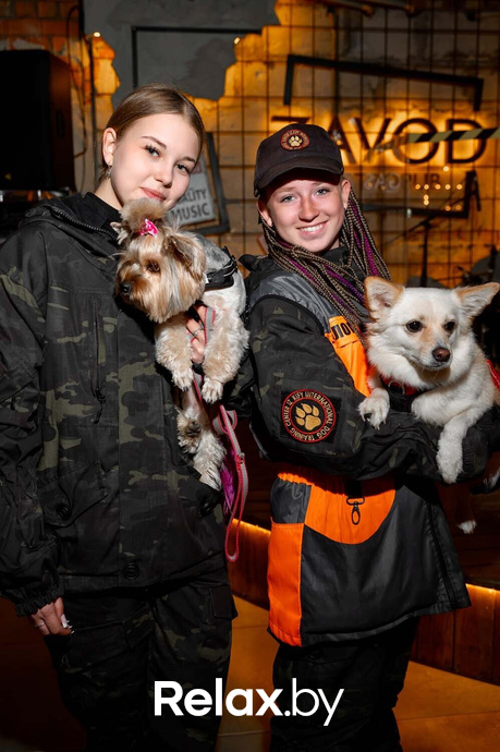 Акция пушистого добра, фото № 37