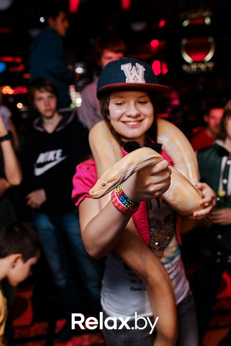 Junior Disco, фото № 182