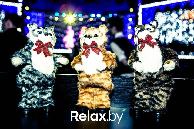 Зажигаем звезды, фото № 5