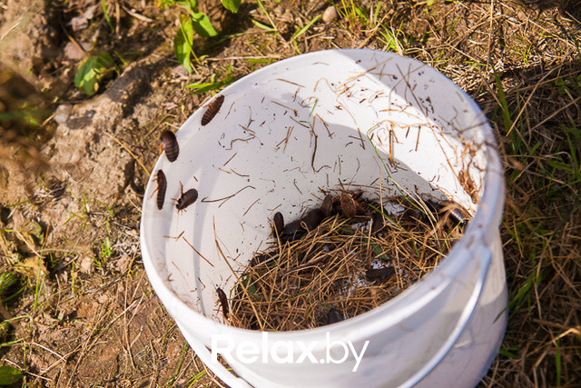 Тимбилдинг, фото № 86