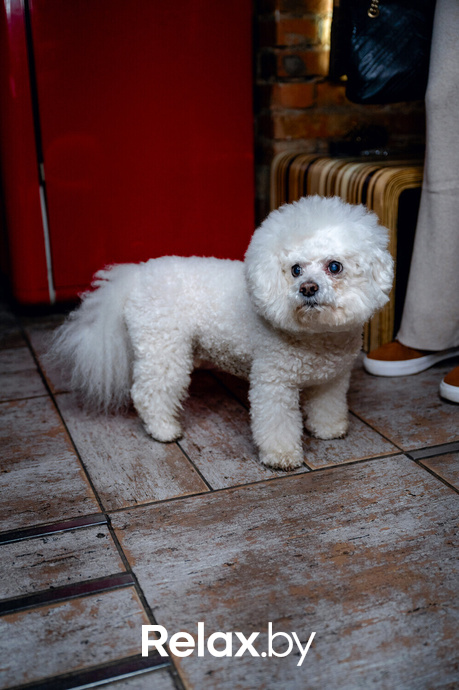 Live Music, фото № 40