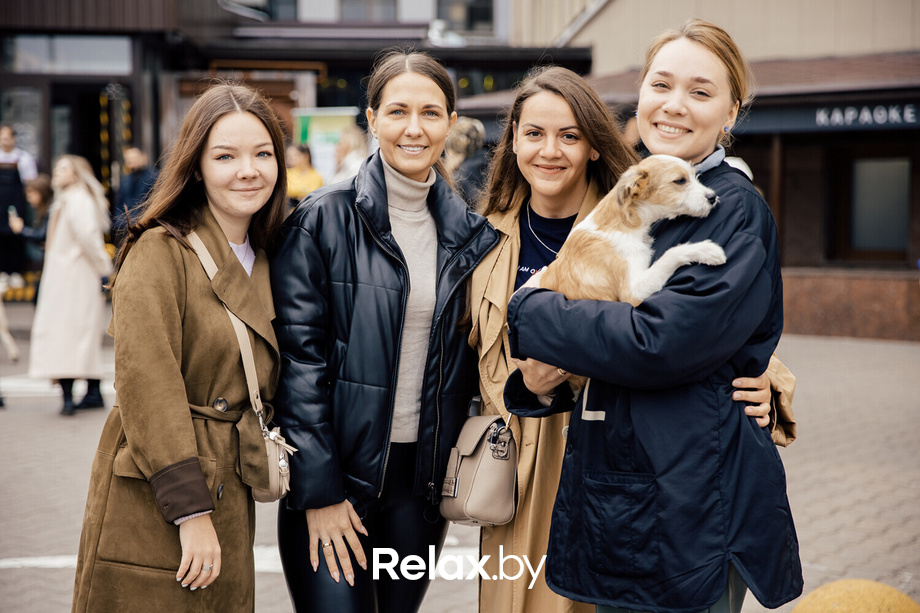 Благотворительная акция пушистого добра, фото № 30