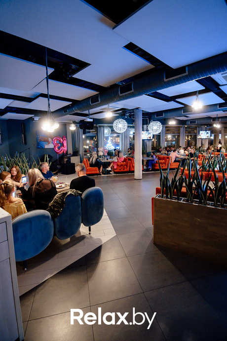 Terra Party, фото № 2