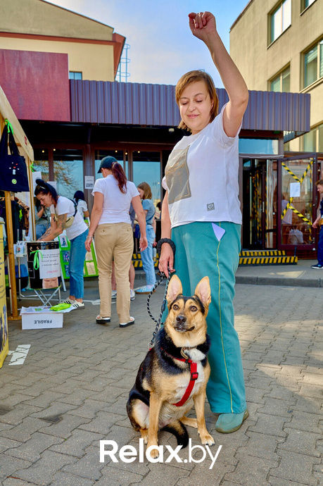 Акция пушистого добра, фото № 64