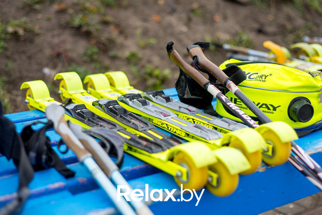 Золотая осень с Васильками, фото № 10