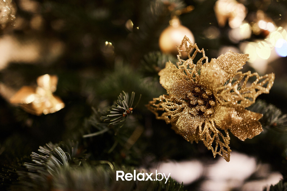 Корпоративы, фото № 1