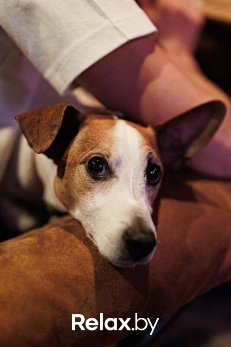 Live Music, фото № 60