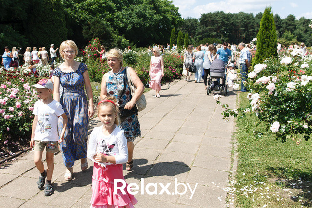 Фестиваль роз, фото № 48