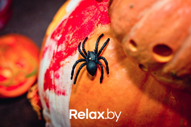 Операция тЫквЫ, фото № 80