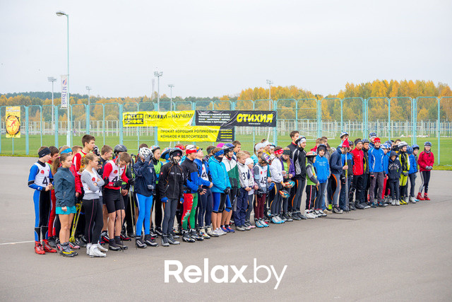 Золотая осень с Васильками, фото № 41