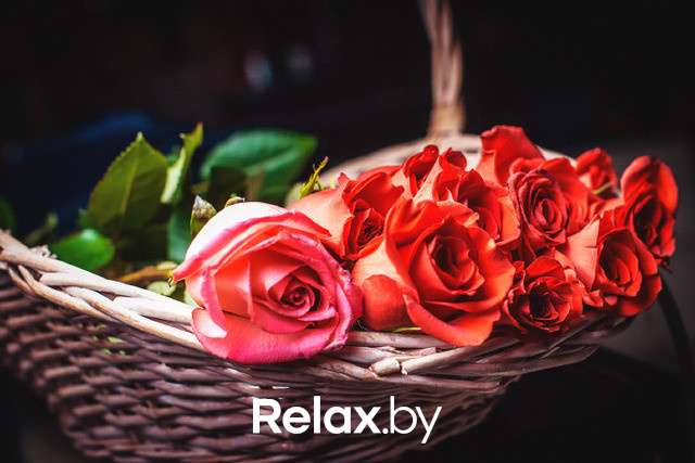 Happy Summer, фото № 18