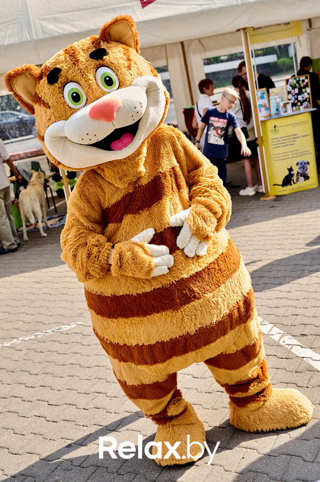 Акция пушистого добра, фото № 83