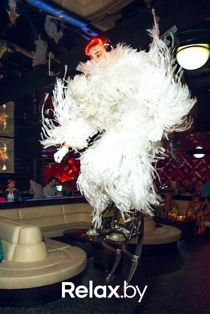 Next Club  Show, фото № 91