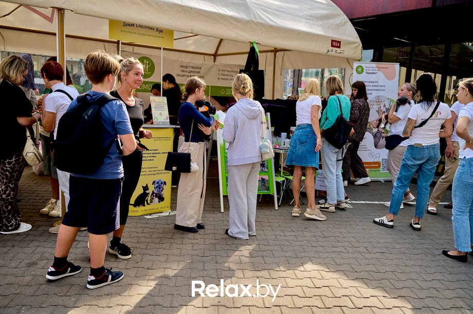 Акция пушистого добра, фото № 63