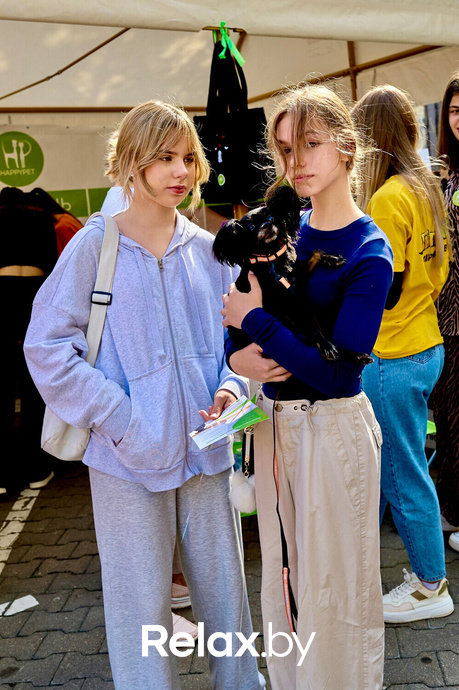 Акция пушистого добра, фото № 45