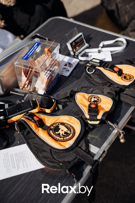 Акция Пушистого Добра, фото № 46