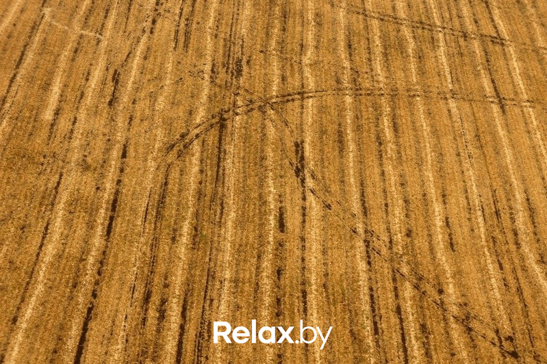 Воздушная прогулка relax.by, фото № 74