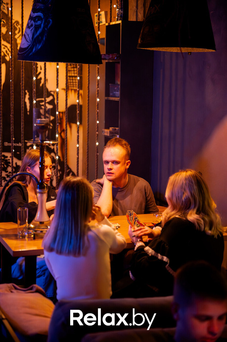 Monkey Brothers, фото № 69