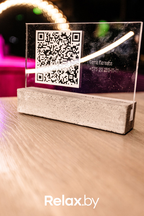 Terra Karaoke, фото № 16
