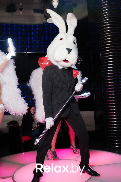 Valentine's night, фото № 161