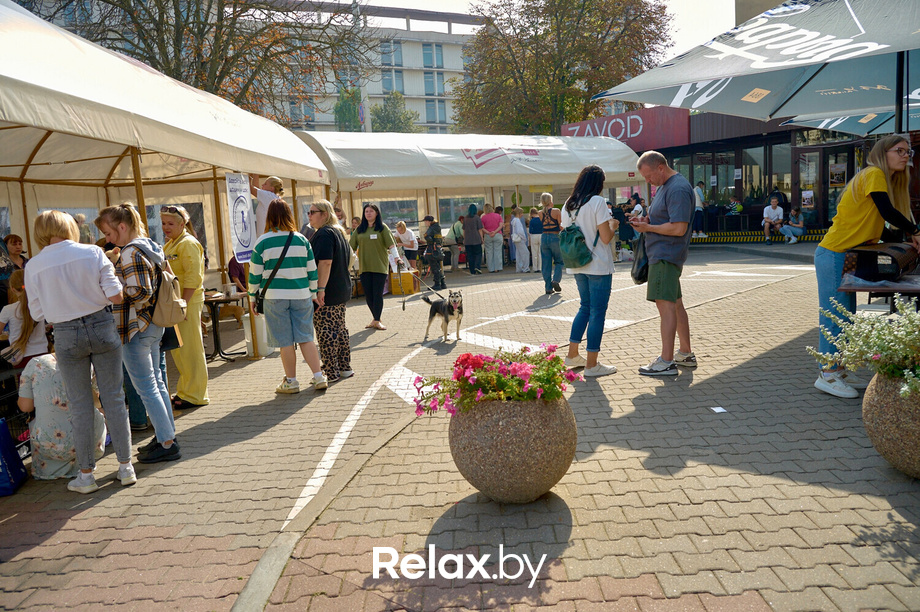 Акция пушистого добра, фото № 1