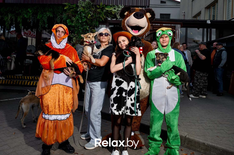 Акция пушистого добра, фото № 30