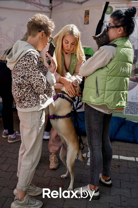 Акция пушистого добра, фото № 67