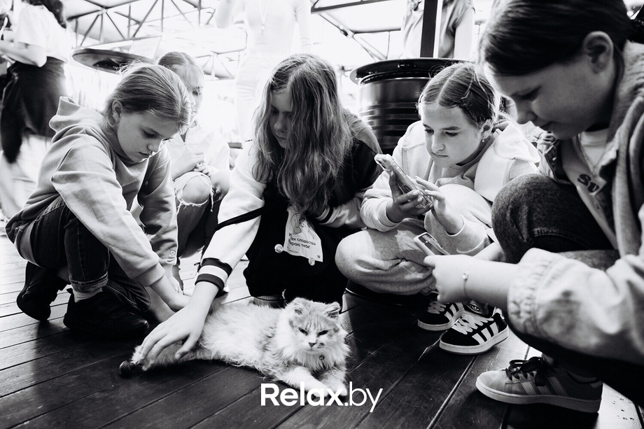 Акция Пушистого Добра, фото № 85