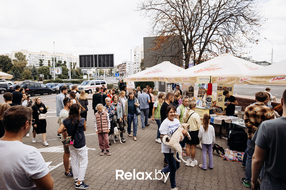 Акция Пушистого Добра, фото № 92