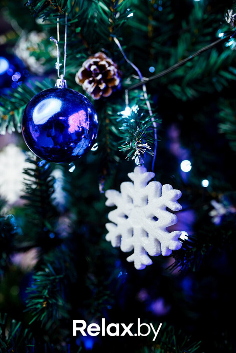 Новогодний борт «ROKAS», фото № 32