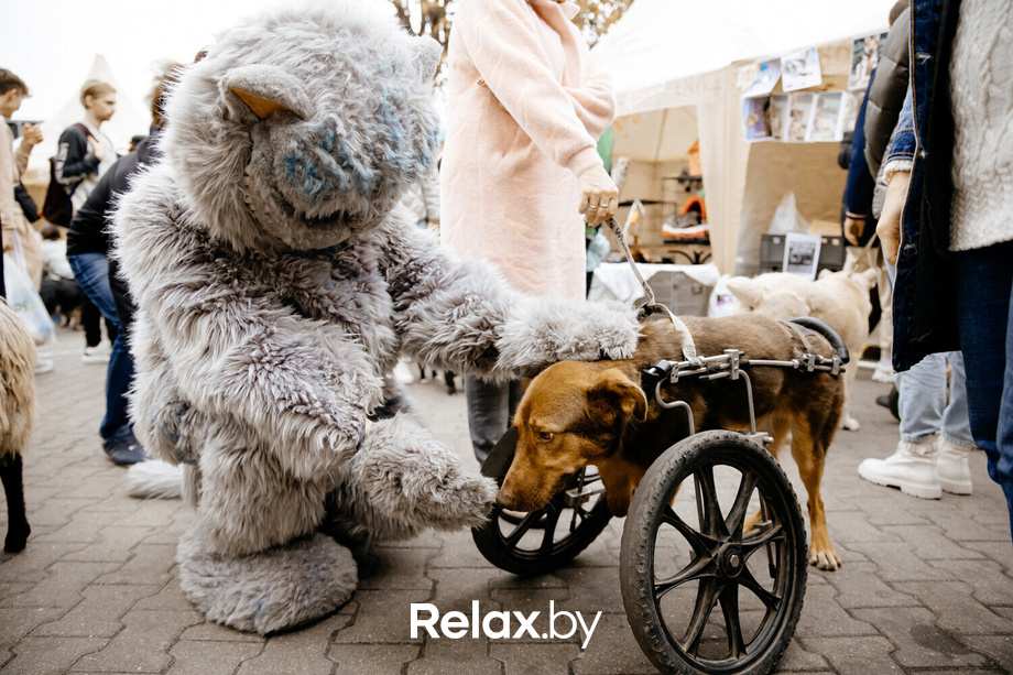 Благотворительная акция пушистого добра, фото № 88