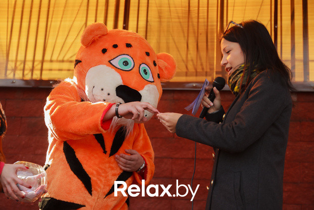 Акция ко Дню защиты животных, фото № 162